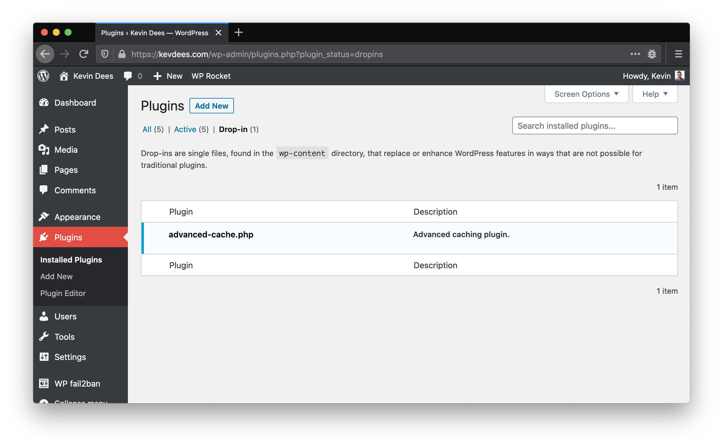 What are WordPress Drop-in Plugins?