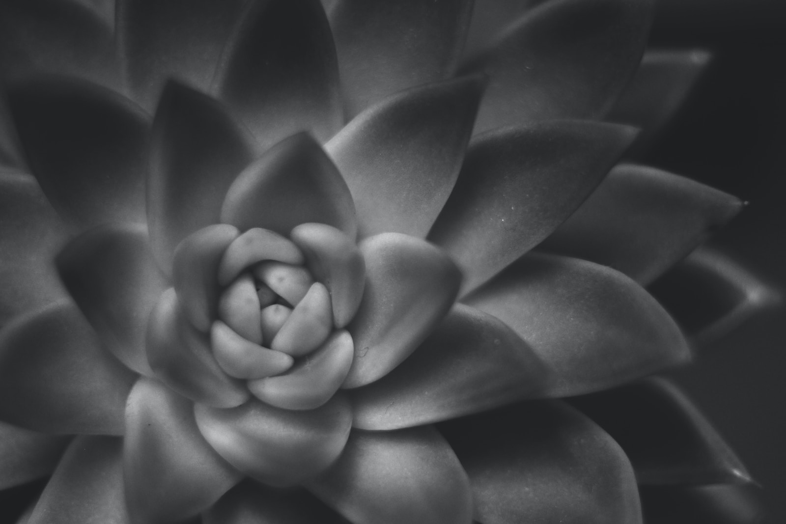 How To Create The Perfect Type Scale in SCSS
