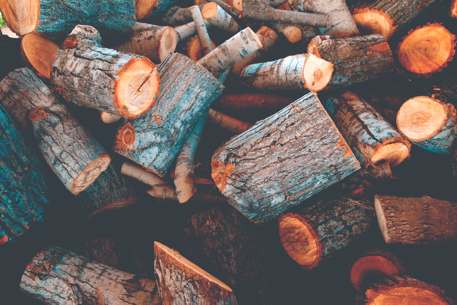 Log PHP Data In WordPress To Your Browser's Console