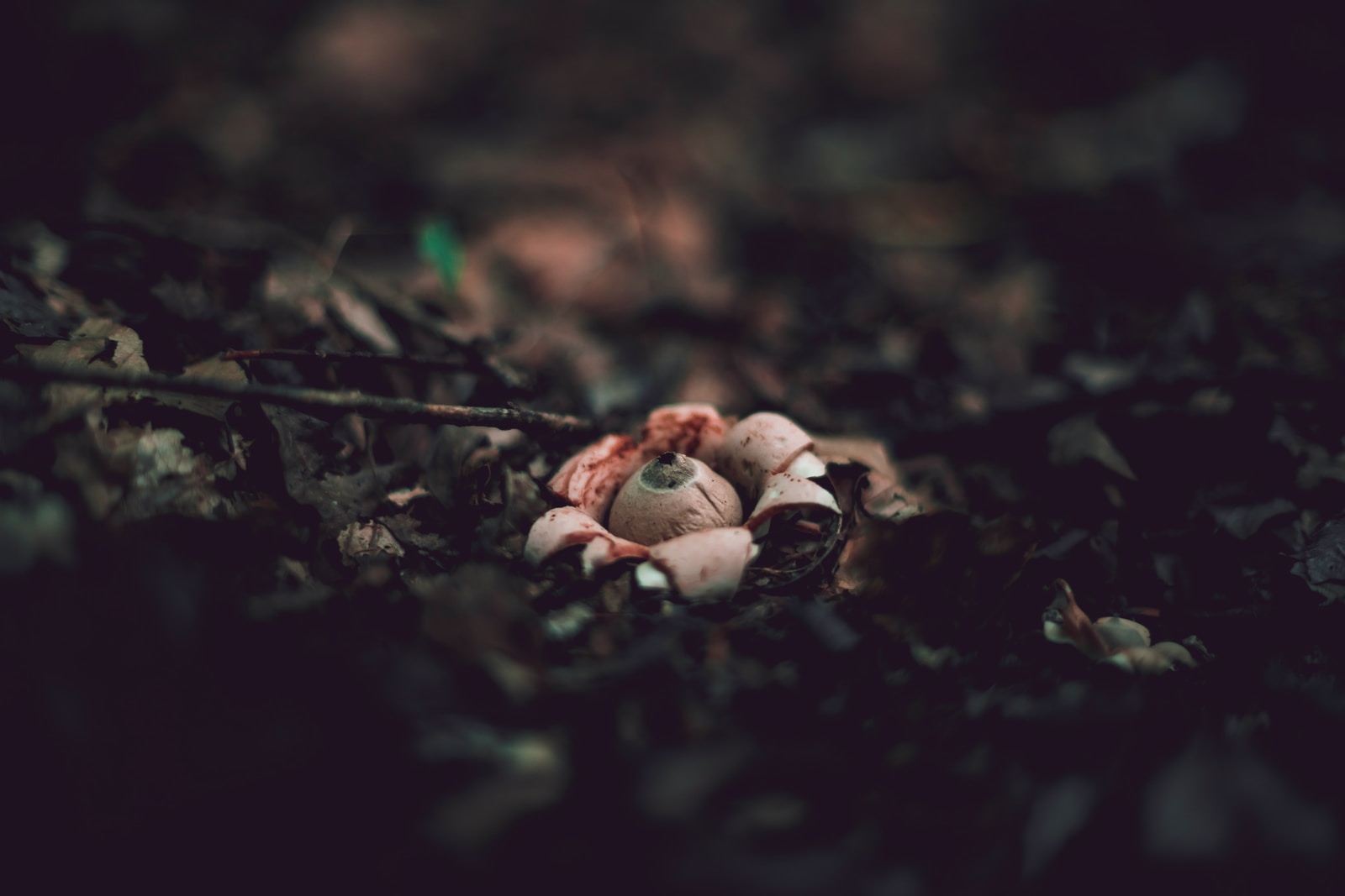 Is PHP Dead?