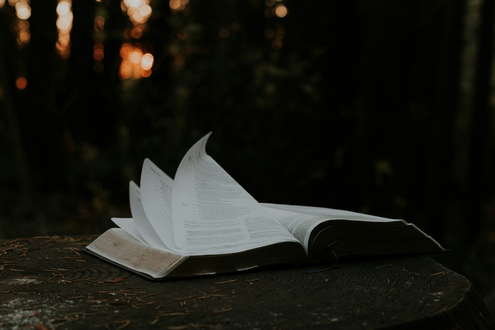 Seeking Honesty: A Call for Humility and Truth in Politics