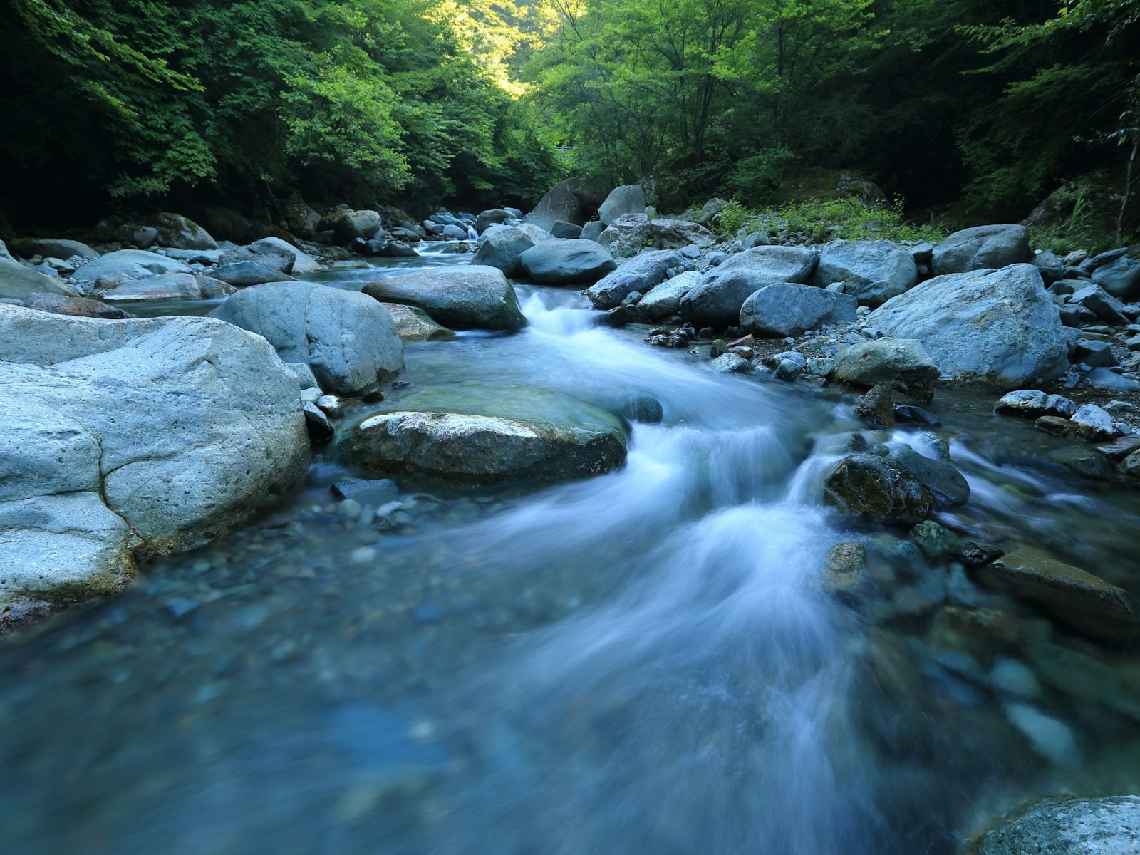 Test-Driving Wispr Flow